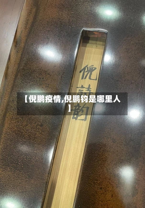 【倪鹏疫情,倪鹏钧是哪里人】