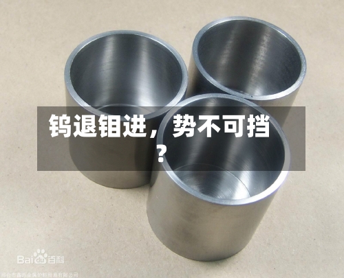钨退钼进，势不可挡？-第2张图片