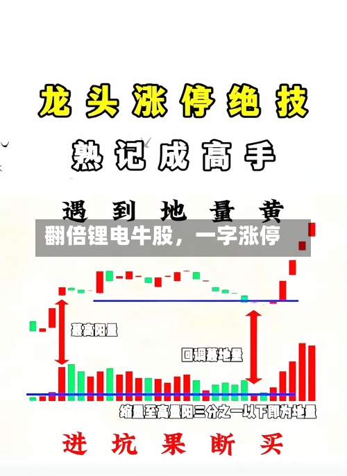 翻倍锂电牛股，一字涨停-第3张图片