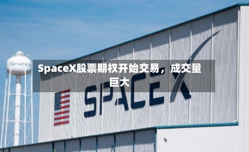 SpaceX股票期权开始交易	，成交量巨大-第2张图片