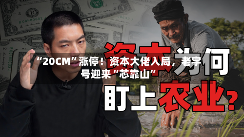 “20CM	”涨停！资本大佬入局，老字号迎来“芯靠山”-第3张图片