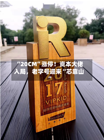 “20CM”涨停！资本大佬入局，老字号迎来“芯靠山”-第2张图片