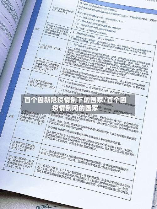 首个因新冠疫情倒下的国家/首个因疫情倒闭的国家-第1张图片