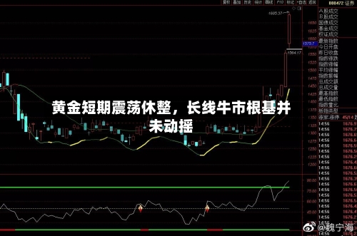 黄金短期震荡休整，长线牛市根基并未动摇-第3张图片