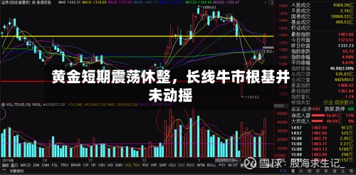 黄金短期震荡休整	，长线牛市根基并未动摇-第1张图片