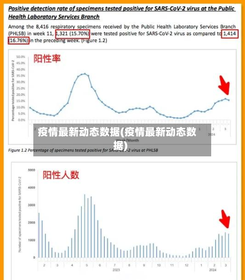 疫情最新动态数据(疫情最新动态数据)-第2张图片