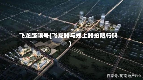 飞龙路限号(飞龙路与郑上路拍限行吗)-第2张图片