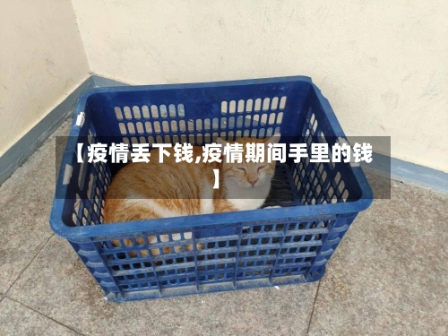 【疫情丢下钱,疫情期间手里的钱】