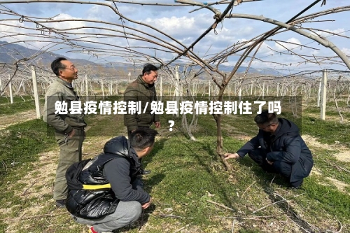 勉县疫情控制/勉县疫情控制住了吗?