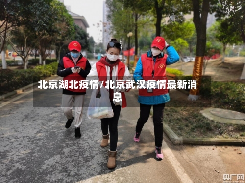 北京湖北疫情/北京武汉疫情最新消息-第3张图片