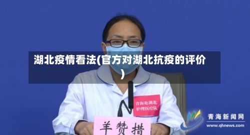 湖北疫情看法(官方对湖北抗疫的评价)-第2张图片