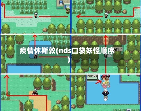疫情休斯敦(nds口袋妖怪顺序)-第3张图片