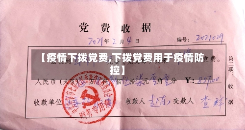【疫情下拨党费,下拨党费用于疫情防控】
