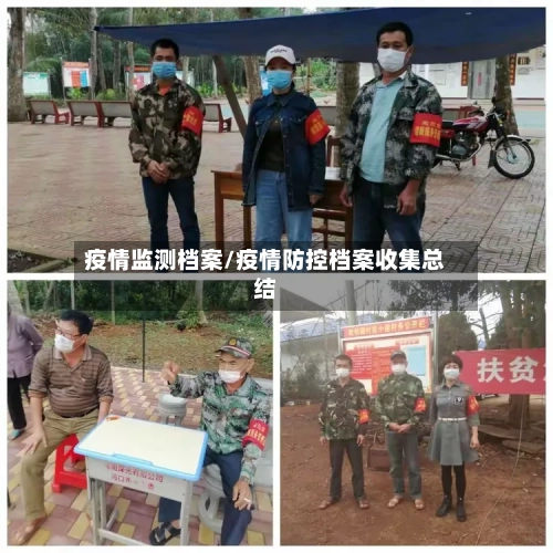 疫情监测档案/疫情防控档案收集总结
