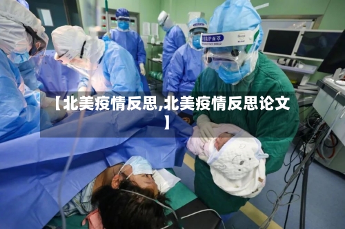【北美疫情反思,北美疫情反思论文】-第2张图片