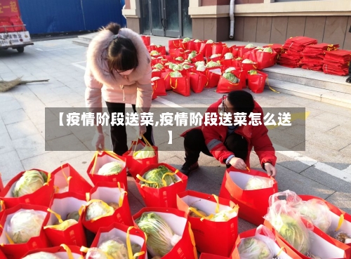 【疫情阶段送菜,疫情阶段送菜怎么送】