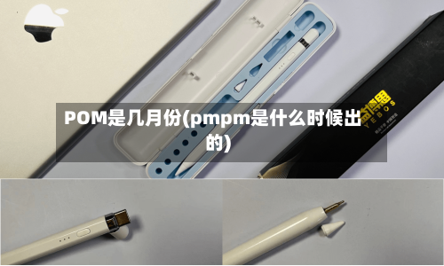 POM是几月份(pmpm是什么时候出的)-第2张图片