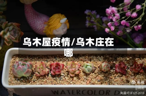 乌木屋疫情/乌木庄在哪