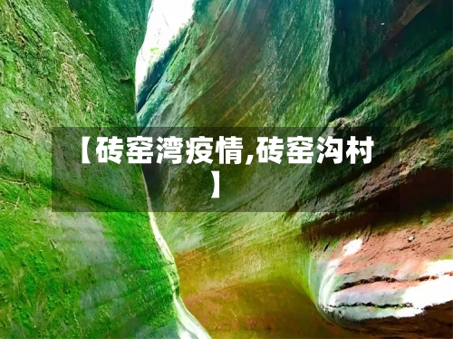 【砖窑湾疫情,砖窑沟村】