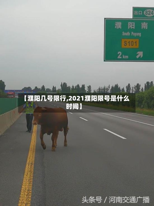 【濮阳几号限行,2021濮阳限号是什么时间】