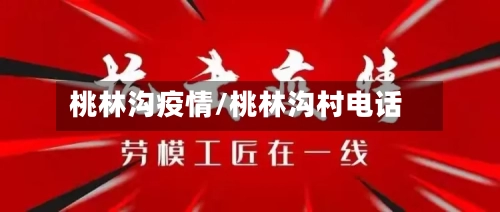 桃林沟疫情/桃林沟村电话-第2张图片