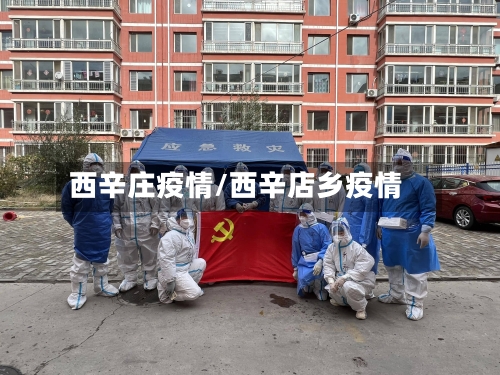 西辛庄疫情/西辛店乡疫情-第3张图片