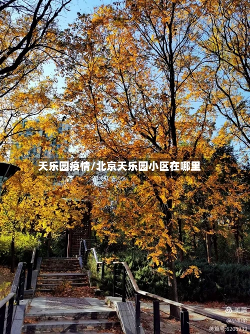 天乐园疫情/北京天乐园小区在哪里