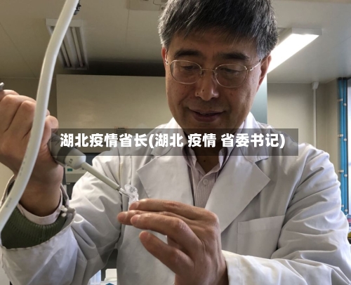 湖北疫情省长(湖北 疫情 省委书记)
