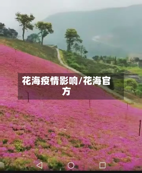 花海疫情影响/花海官方
