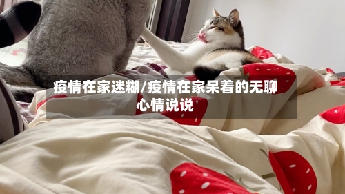 疫情在家迷糊/疫情在家呆着的无聊心情说说