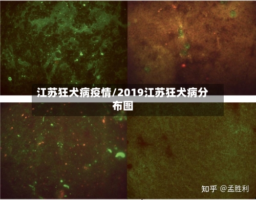 江苏狂犬病疫情/2019江苏狂犬病分布图