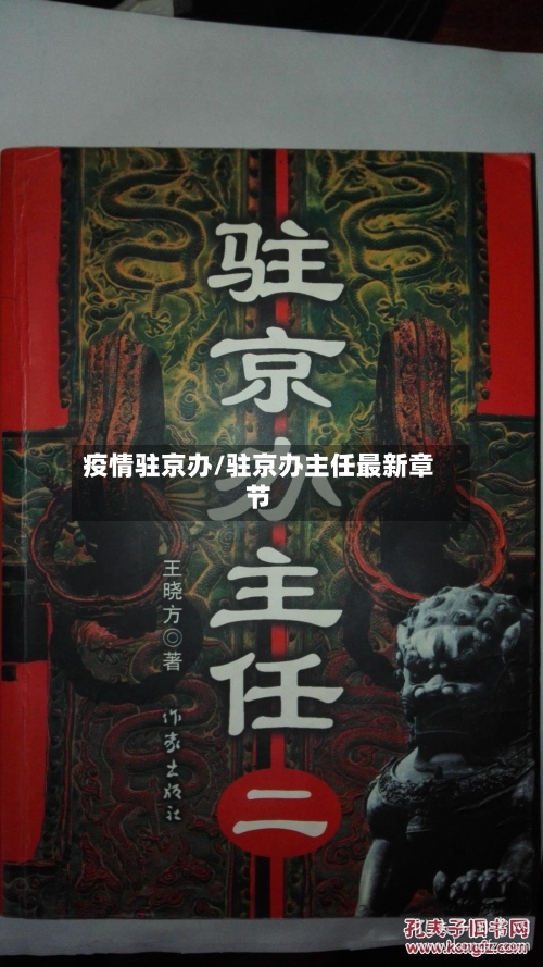 疫情驻京办/驻京办主任最新章节