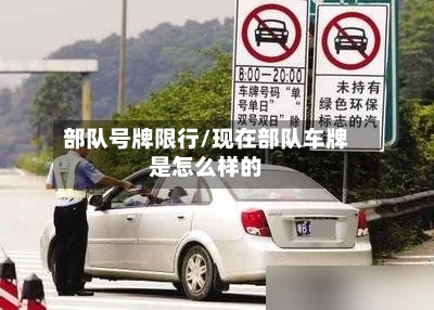 部队号牌限行/现在部队车牌是怎么样的-第2张图片