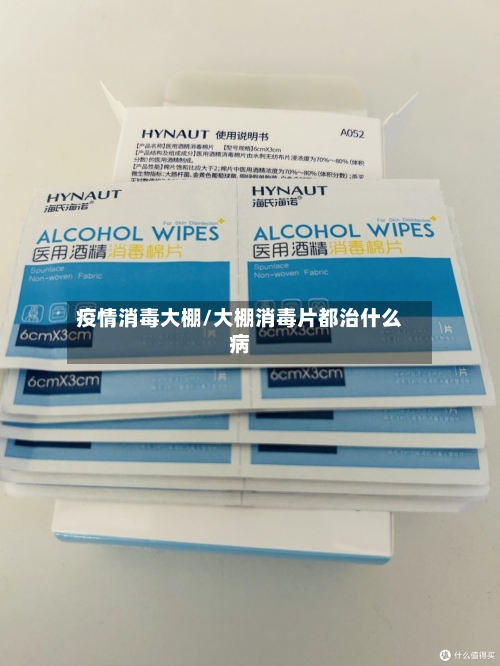 疫情消毒大棚/大棚消毒片都治什么病-第2张图片