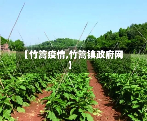 【竹篙疫情,竹篙镇政府网】