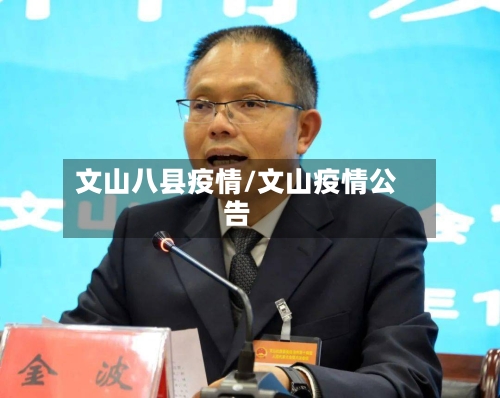 文山八县疫情/文山疫情公告