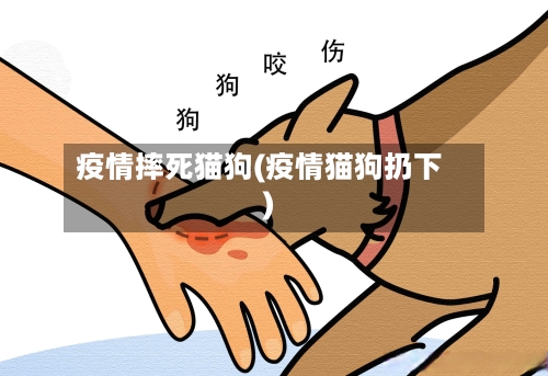 疫情摔死猫狗(疫情猫狗扔下)