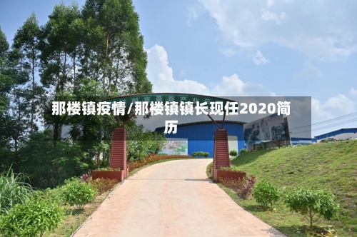 那楼镇疫情/那楼镇镇长现任2020简历