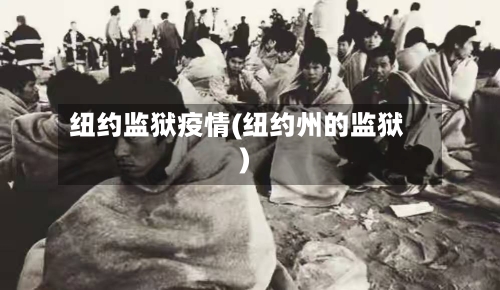 纽约监狱疫情(纽约州的监狱)-第3张图片