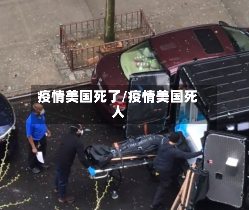 疫情美国死了/疫情美国死人-第2张图片