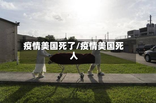 疫情美国死了/疫情美国死人