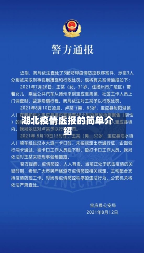 湖北疫情虚报的简单介绍-第3张图片