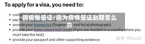 因疫情签证/因为疫情签证到期怎么办-第2张图片