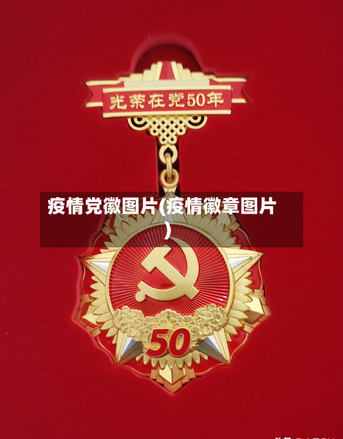 疫情党徽图片(疫情徽章图片)