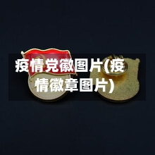 疫情党徽图片(疫情徽章图片)-第2张图片