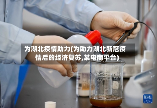 为湖北疫情助力(为助力湖北新冠疫情后的经济复苏,某电商平台)
