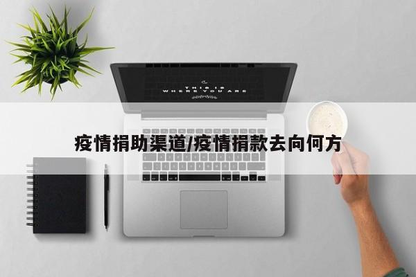 疫情捐助渠道/疫情捐款去向何方