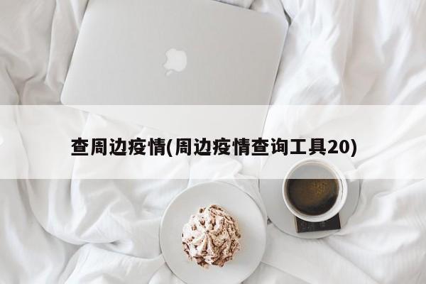查周边疫情(周边疫情查询工具20)