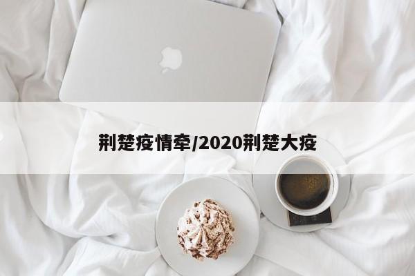 荆楚疫情牵/2020荆楚大疫