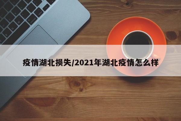 疫情湖北损失/2021年湖北疫情怎么样
